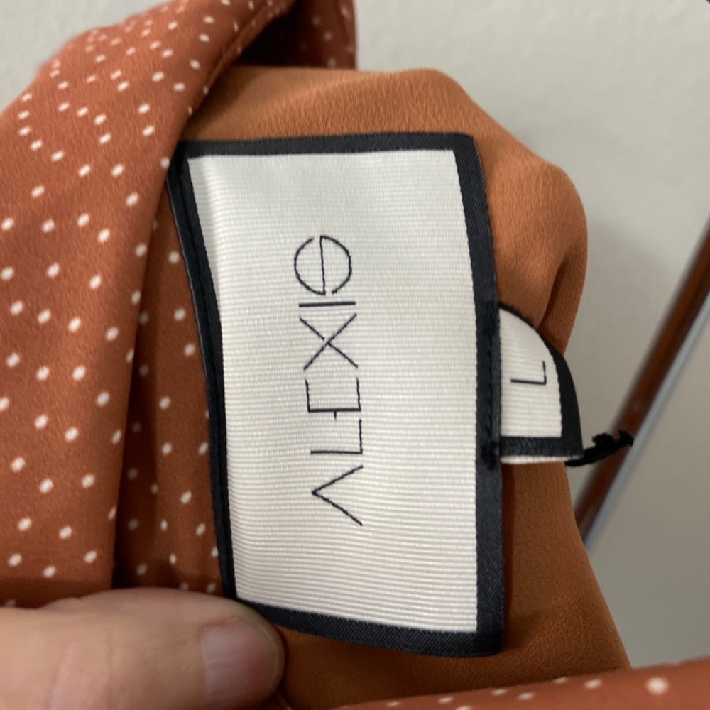 Alexis Genna T-Length Dress - Picture 9 of 12